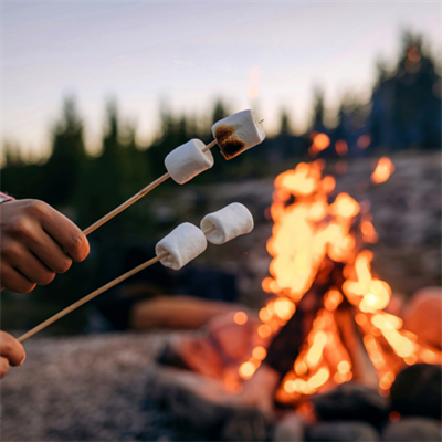 Bonfire